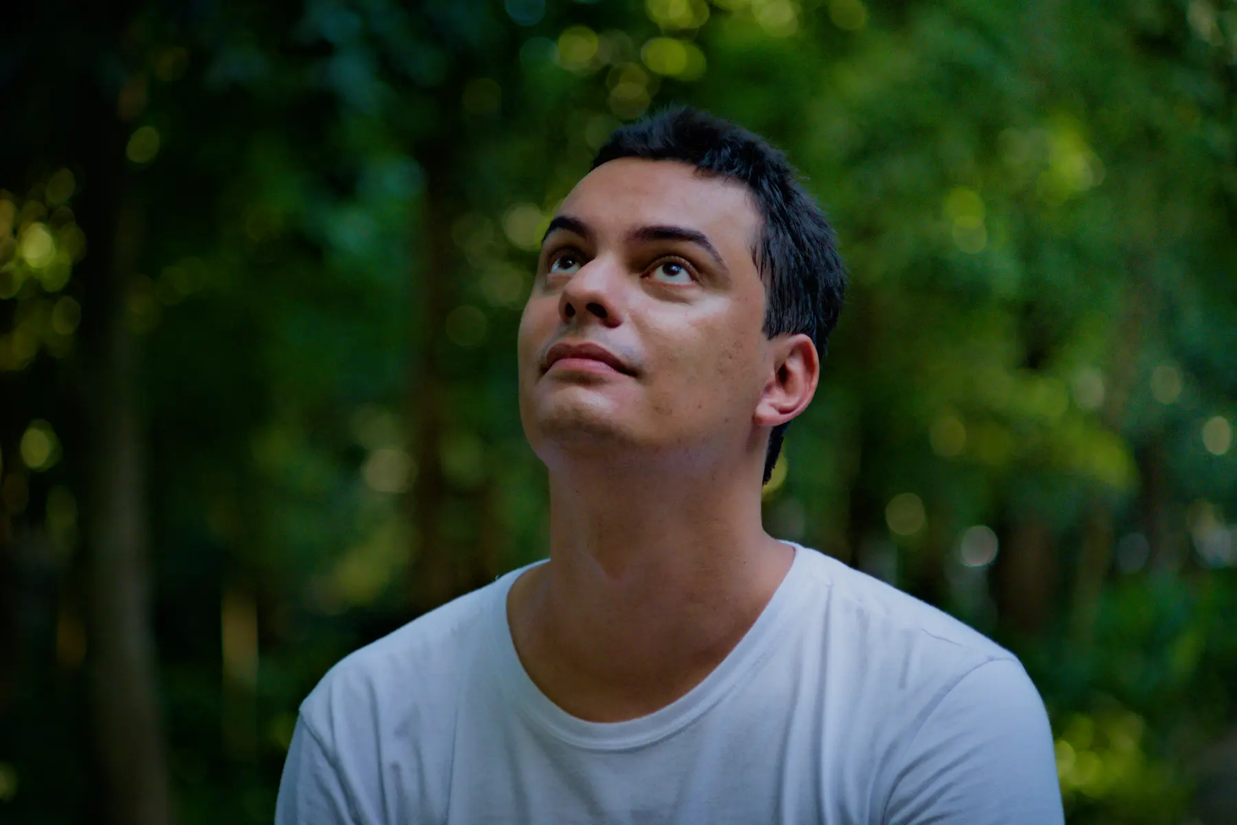 Francisco Vidal — Processo